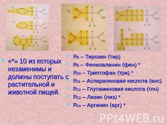 «*» 10 из которых незаменимы и должны поступать с растительной и животной пищей.R8 – Тирозин (тир)R9 – Фенилаланин (фен) *R10 – Триптофан (три) *R11 – Аспарагиновая кислота (анс)R12 – Глутаминовая кислота (глн)R13 – Лизин (лиз) *R14 – Аргинин (арг) *