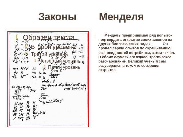 Законы Менделя Мендель предпринимал ряд попыток подтвердить открытие своих законов на других биологических видах. Он провёл серию опытов по скрещиванию разновидностей ястребинки, затем - пчёл. В обоих случаях его ждало трагическое разочарование. Вел…