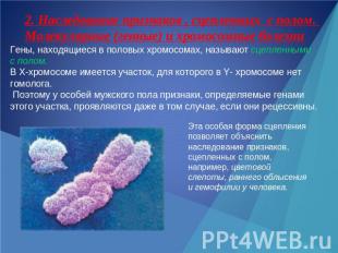 2. Наследование признаков , сцепленных с полом. Молекулярные (генные) и хромосом