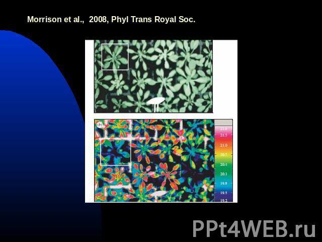 Morrison et al., 2008, Phyl Trans Royal Soc.