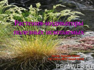 Растения-индикаторы полезных ископаемых Автор: Крюков Павел,7 Б класс, МОУ лицей