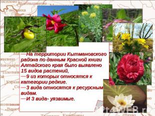 На территории Кытмановского района по данным Красной книги Алтайского края было