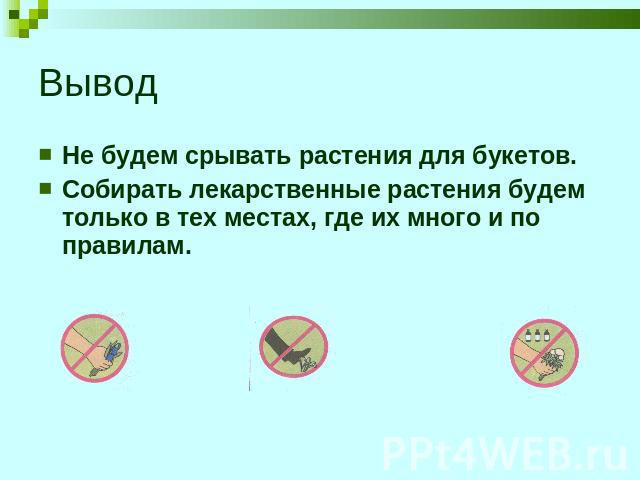 Вывод Не будем срывать растения для букетов.Собирать лекарственные растения будем только в тех местах, где их много и по правилам.