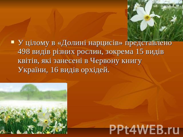 У цілому в «Долині нарцисів» представлено 498 видів різних рослин, зокрема 15 видів квітів, які занесені в Червону книгу України, 16 видів орхідей.