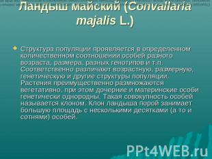 Ландыш майский (Convallaria majalis L.) Структура популяции проявляется в опреде