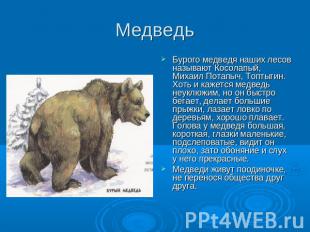 Медведь Бурого медведя наших лесов называют Косолапый, Михаил Потапыч, Топтыгин.