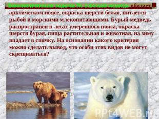 Биологическая задача № 2:Белый медведь обитает в арктическом поясе, окраска шерс