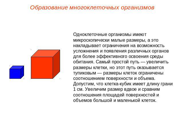 Образование многоклеточных организмовОдноклеточные организмы имеют микроскопически малые размеры, а это накладывает ограничения на возможность усложнения и появления различных органов для более эффективного освоения среды обитания. Самый простой пут…