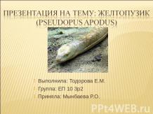 Желтопузик (Pseudopus apodus)