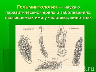 Гельминтология — наука о паразитических червях и заболеваниях, вызываемых ими у