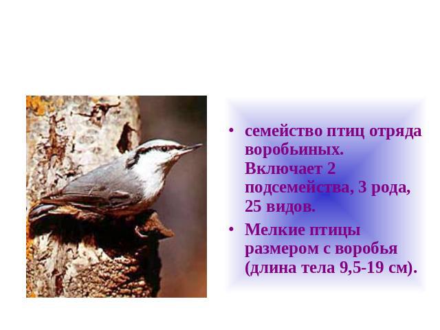 семейство птиц отряда воробьиных. Включает 2 подсемейства, 3 рода, 25 видов.Мелкие птицы размером с воробья (длина тела 9,5-19 см).