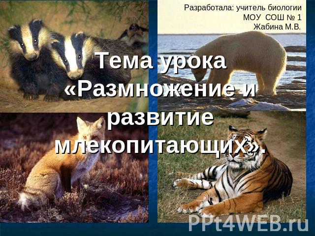 Тема урока «Размножение и развитие млекопитающих».