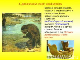 1. Древнейшие люди, архантропыКостные останки существ, сходных с питекантропом и