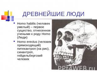 ДРЕВНЕЙШИЕ ЛЮДИ Homo habilis (человек умелый) – первое существо, отнесенное учен