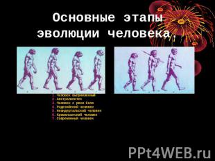 Основные этапы эволюции человека. Человек выпрямленныйАвстралопитек Человек с ре