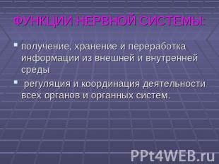 ФУНКЦИИ НЕРВНОЙ СИСТЕМЫ: получение, хранение и переработка информации из внешней