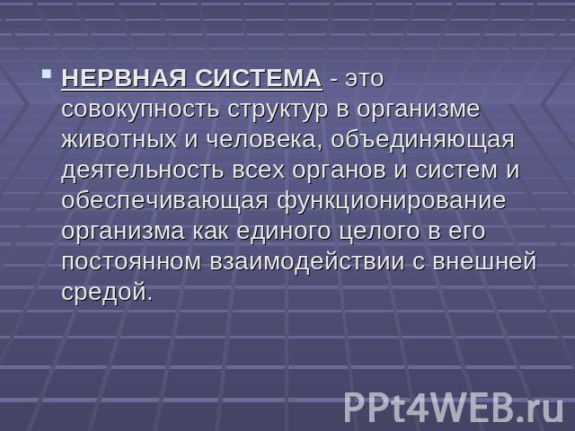 НЕРВНАЯ СИСТЕМА - это совокупность структур в организме животных и человека, объединяющая деятельность всех органов и систем и обеспечивающая функционирование организма как единого целого в его постоянном взаимодействии с внешней средой.