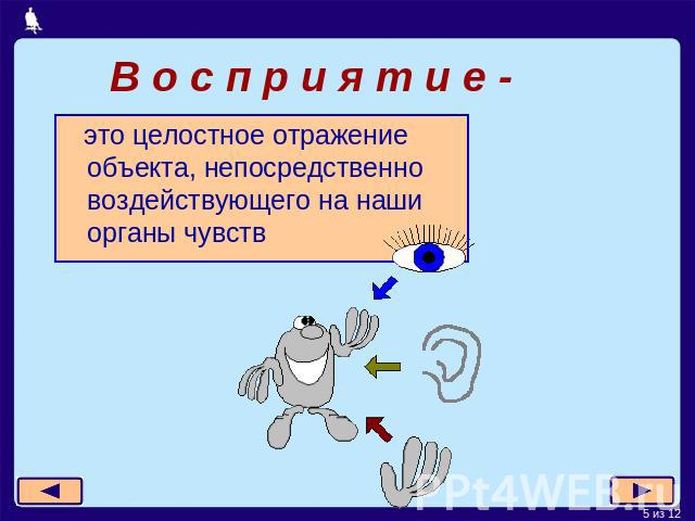 В о с п р и я т и е - это целостное отражение объекта, непосредственно воздействующего на наши органы чувств