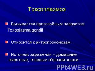 Токсоплазмоз Вызывается протозойным паразитом Toxoplasma gondii Относится к антр