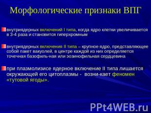 Морфологические признаки ВПГ внутриядерных включений I типа, когда ядро клетки у