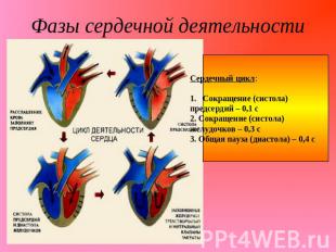 Фазы сердечной деятельности Сердечный цикл:Сокращение (систола)предсердий – 0,1