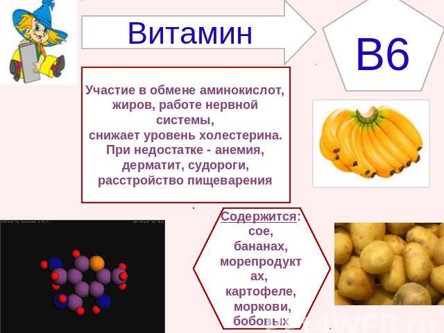 ВитаминB6 Участие в обмене аминокислот,жиров, работе нервной системы,снижает уровень холестерина.При недостатке - анемия,дерматит, судороги,расстройство пищеваренияСодержится:сое, бананах,морепродуктах, картофеле, моркови,бобовых