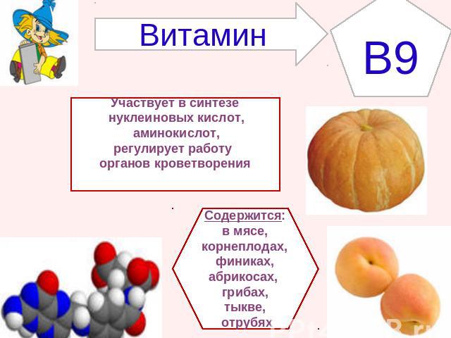 ВитаминB9Участвует в синтезе нуклеиновых кислот, аминокислот,регулирует работу органов кроветворенияСодержится:в мясе, корнеплодах,финиках, абрикосах, грибах, тыкве, отрубях
