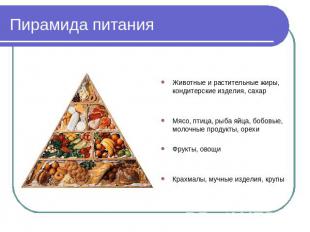 Пирамида питания Животные и растительные жиры, кондитерские изделия, сахарМясо,