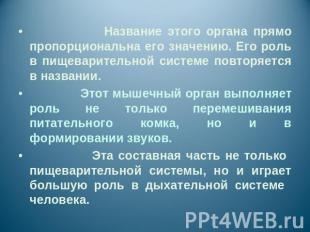 Название этого органа прямо пропорциональна его значению. Его роль в пищеварител