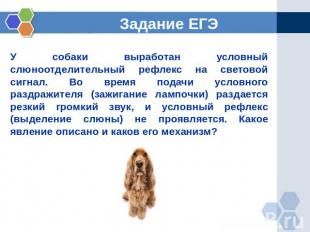 Задание ЕГЭ У собаки выработан условный слюноотделительный рефлекс на световой с