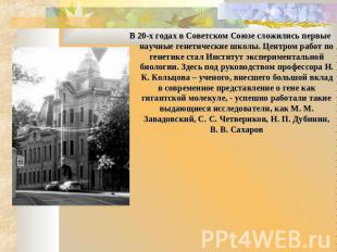 В 20-х годах в Советском Союзе сложились первые научные генетические школы. Цент