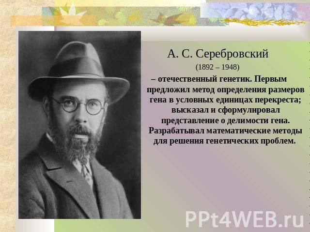 А. С. Серебровский (1892 – 1948) – отечественный генетик. Первым предложил метод определения размеров гена в условных единицах перекреста; высказал и сформулировал представление о делимости гена. Разрабатывал математические методы для решения генети…