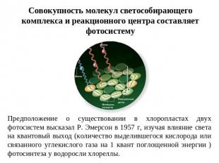 Совокупность молекул светособирающего комплекса и реакционного центра составляет