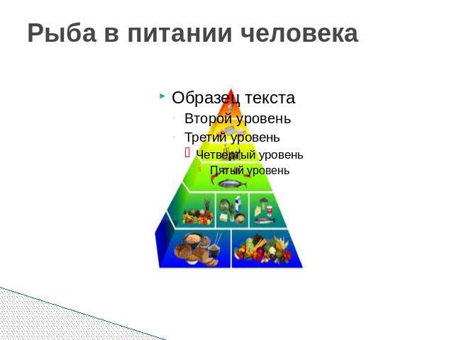 Рыба в питании человека