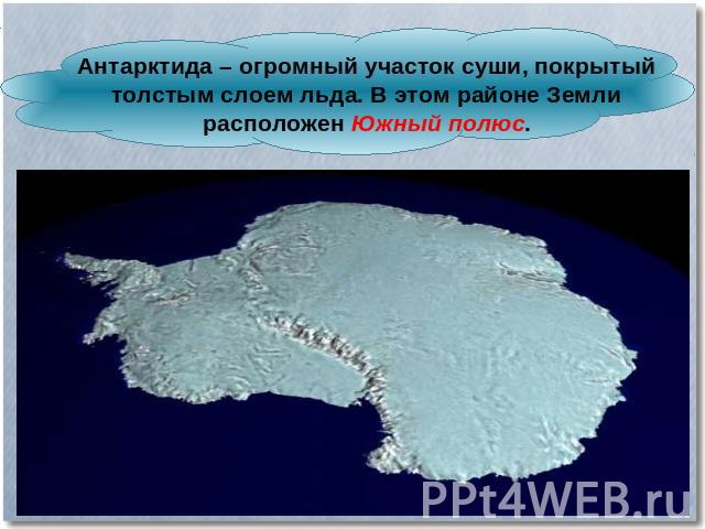 Антарктида – огромный участок суши, покрытый толстым слоем льда. В этом районе Земли расположен Южный полюс.