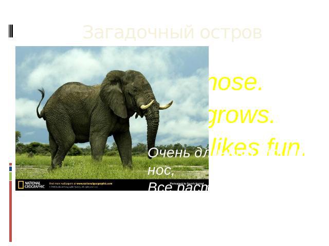 A very long nose. It grows and grows. Не is huge and likes fun. It is … Очень длинный, длинный нос, Все растет, растет, Сам огромный и любит веселье, Это … СЛОН.