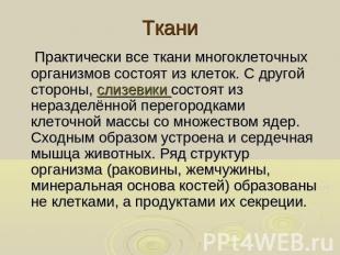 Ткани Практически все ткани многоклеточных организмов состоят из клеток. С друго