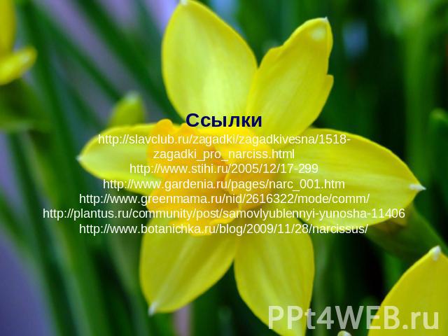 Ссылки http://slavclub.ru/zagadki/zagadkivesna/1518-zagadki_pro_narciss.html http://www.stihi.ru/2005/12/17-299 http://www.gardenia.ru/pages/narc_001.htm http://www.greenmama.ru/nid/2616322/mode/comm/ http://plantus.ru/community/post/samovlyublennyi…