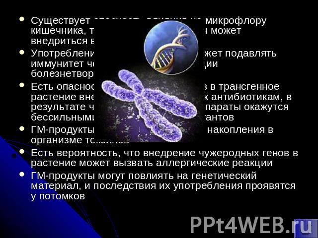 Существует опасность влияния на микрофлору кишечника, то есть чужеродный ген может внедриться в полезные бактерии Употребление трансгенной еды может подавлять иммунитет человека, вызвав мутации болезнетворных бактерий Есть опасность при введении ген…