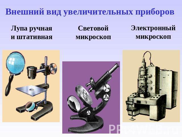 Внешний вид увеличительных приборов Лупа ручная и штативная Световой микроскоп Электронный микроскоп
