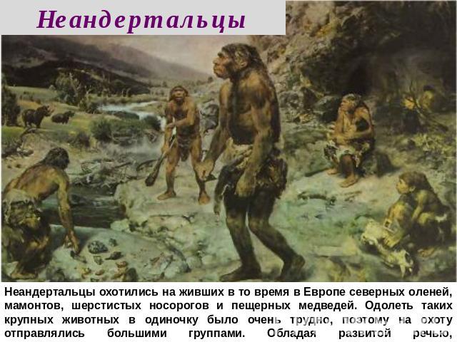 Неандертальцы Неандертальцы охотились на живших в то время в Европе северных оленей, мамонтов, шерстистых носорогов и пещерных медведей. Одолеть таких крупных животных в одиночку было очень трудно, поэтому на охоту отправлялись большими группами. Об…