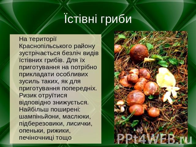 Їстівні гриби На території Краснопільського району зустрічається безліч видів їстівних грибів. Для їх приготування на потрібно прикладати особливих зусиль таких, як для приготування попередніх. Ризик отруїтися відповідно знижується. Найбільш поширен…
