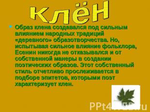 Клён Образ клена создавался под сильным влиянием народных традиций «деревного» о