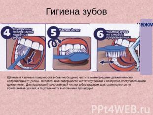 Гигиена зубов Щёчные и язычные поверхности зубов необходимо чистить выметающими