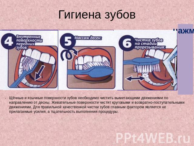 Гигиена зубов Щёчные и язычные поверхности зубов необходимо чистить выметающими движениями по направлению от десны. Жевательные поверхности чистят круговыми и возвратно-поступательными движениями. Для правильной качественной чистки зубов главным фак…