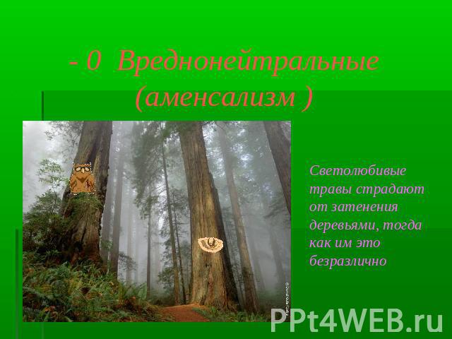 - 0 Вреднонейтральные (аменсализм ) Светолюбивые травы страдают от затенения деревьями, тогда как им это безразлично