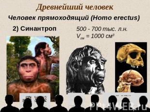 Древнейший человекЧеловек прямоходящий (Homo erectus)2) Синантроп500 - 700 тыс.