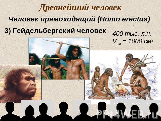 Древнейший человекЧеловек прямоходящий (Homo erectus)3) Гейдельбергский человек400 тыс. л.н.Vгм = 1000 см3