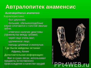 Автралопитек анаменсисAustralopithecus anamensis Характеристика: -был двуногим;