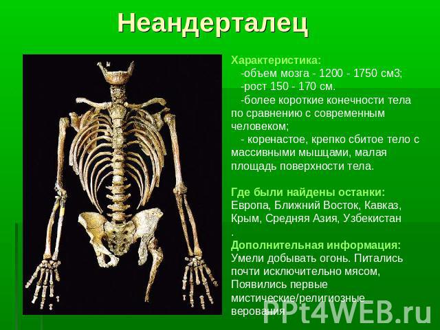 НеандерталецХарактеристика: -объем мозга - 1200 - 1750 см3; -рост 150 - 170 см. -более короткие конечности тела по сравнению с современным человеком; - коренастое, крепко сбитое тело с массивными мышцами, малая площадь поверхности тела.Где были найд…